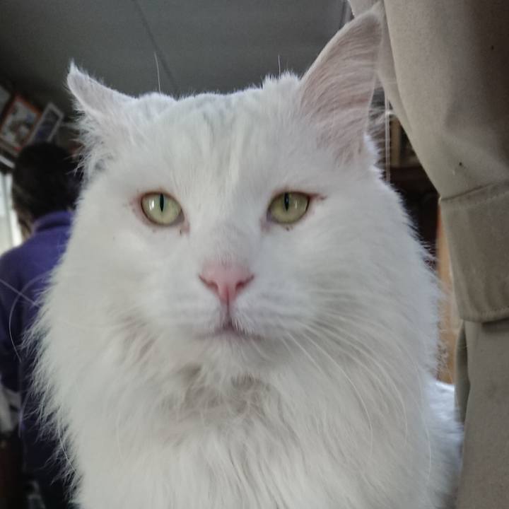 34513c12 f6b4 4893 a38f 90fb4e51cdc3 1526423700654