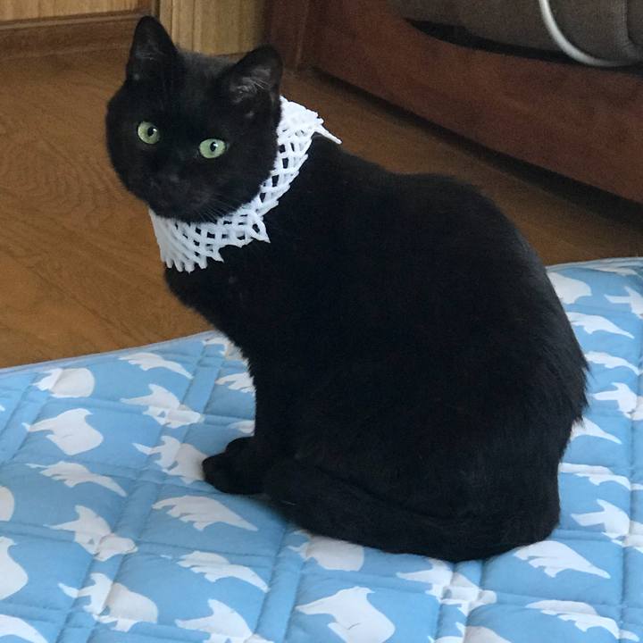 3451a6e6 69e8 409e 9815 00e2a6396d3f 1533274280635