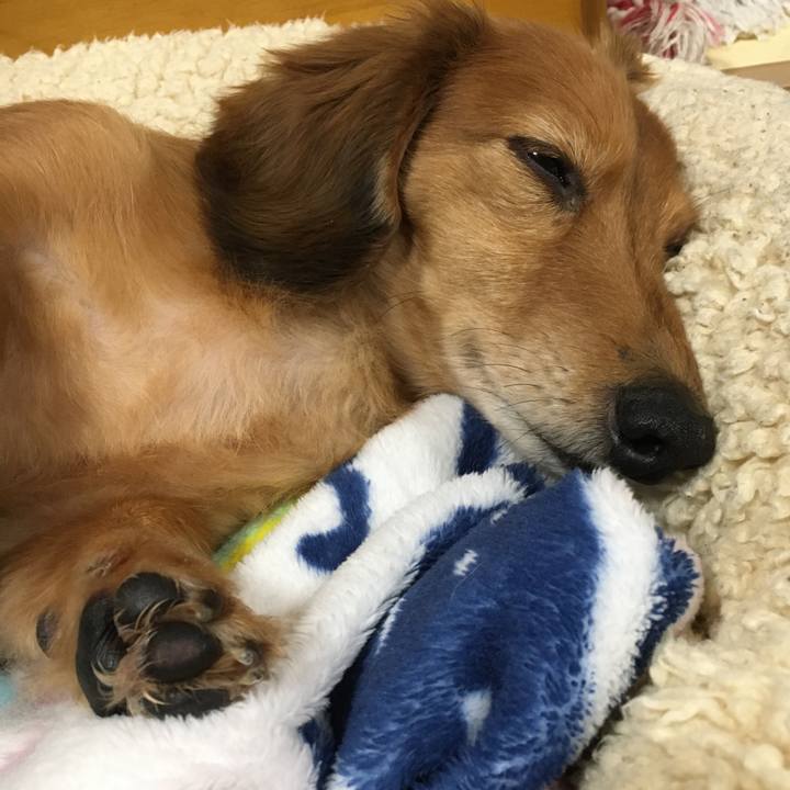 3451afff 4df2 4dc5 a1f7 6d0c09ed4cdb 1580822403780