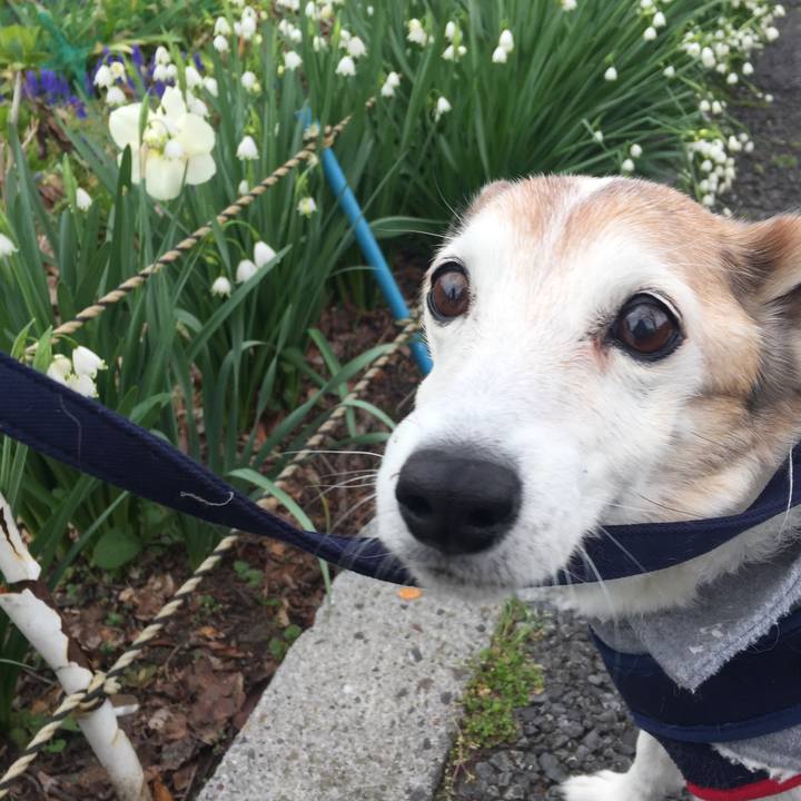 3451b514 04d6 4309 97e8 54b8cef2a25f 1554332484211