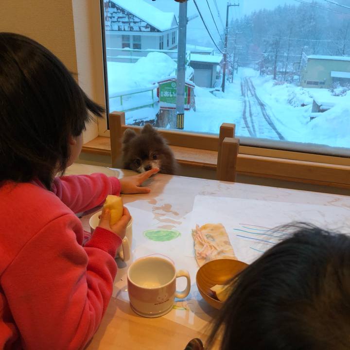 3451ccb4 1ec4 4fd9 a9a4 deef0689c637 1612397590123