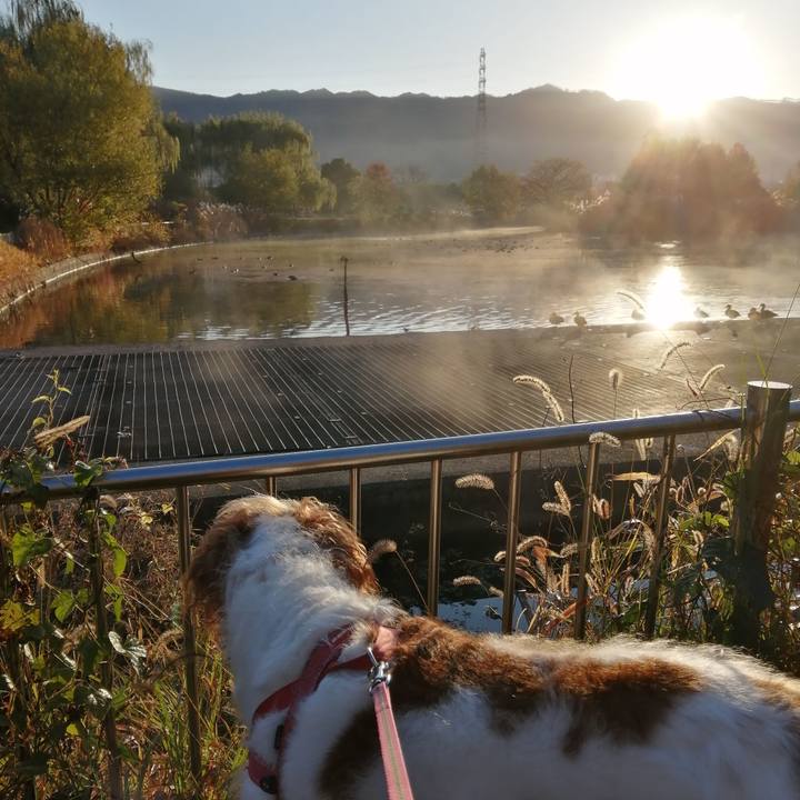 3451cd8c b0e2 4bd0 8946 76f8404419c0 1607134377601