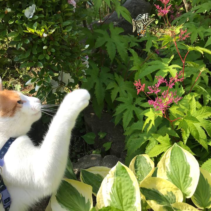 3451d1af e8d7 4d12 b76c e199cebeaf86 1528360348101