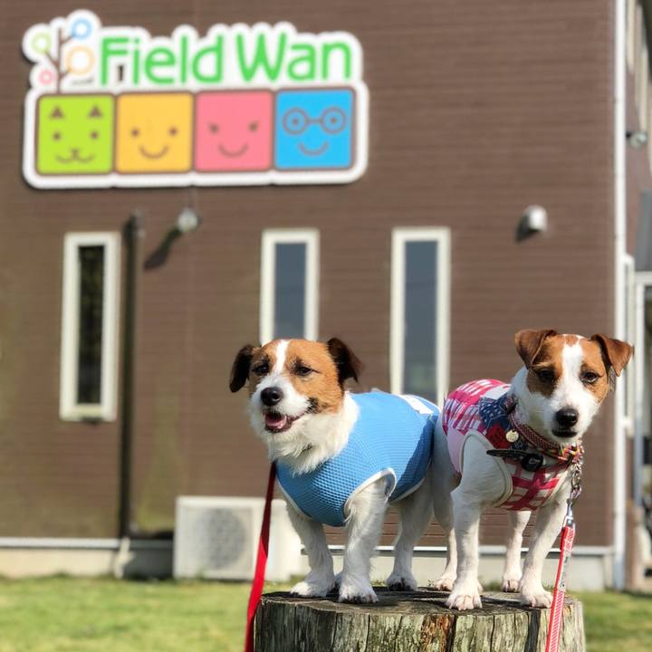 3451d343 16fc 442b 8dfa 1694719dac51 1527508286780