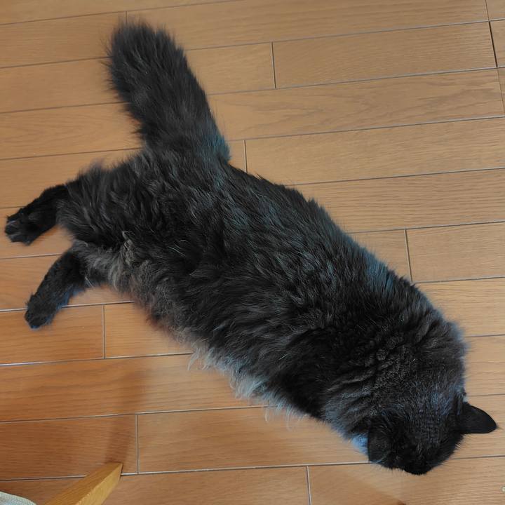 3451fc94 8309 49f4 b7a1 487b68900294 1751850294487