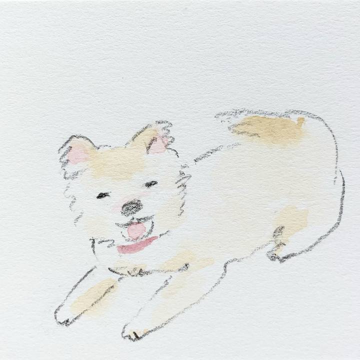 3452889c d726 4c2a 9e16 e31fc06f9eec 1630390481244