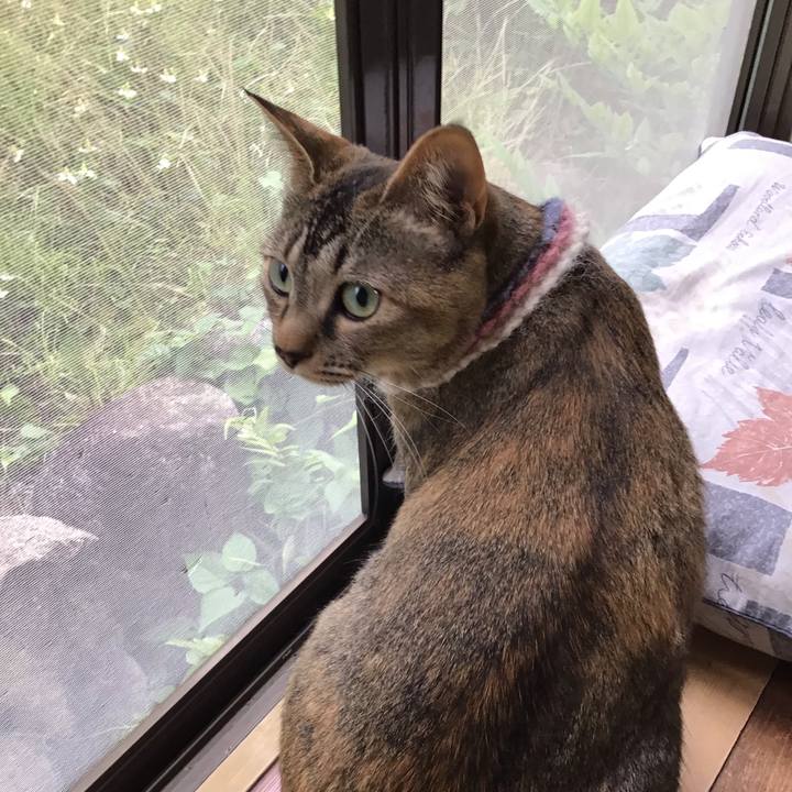 34528fd5 18c3 426b afe3 fff8a4a4070e 1621840332040