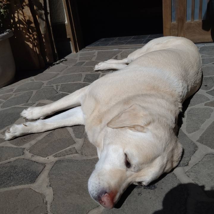 3452d3fd 810f 4a84 a5c8 8f7af9082dae 1678500535580