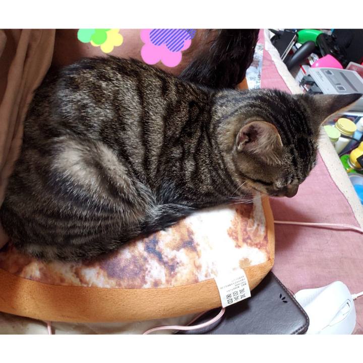 3452f1e6 6c95 4212 a72b 8587aeb82b55 1543309571816