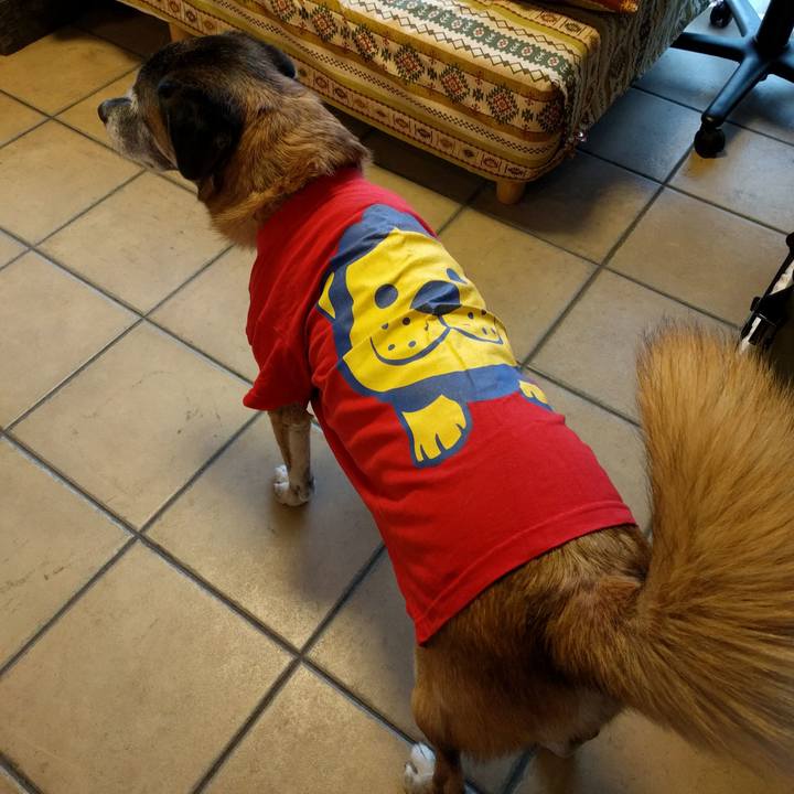 3452fb94 1c18 4671 ad01 93dd821a8419 1747355918477