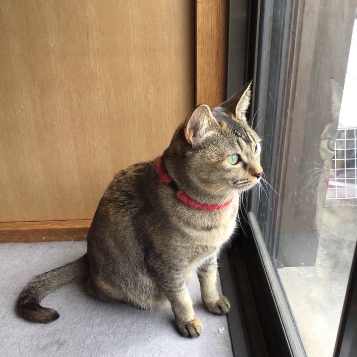 34538999 619d 4a18 8d82 1b63fefc42fa 1613094229938