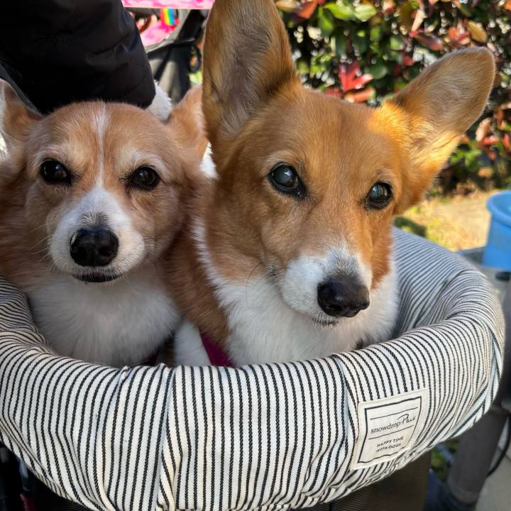 34539b7b d898 40c1 9543 e67607701633 1736321298182