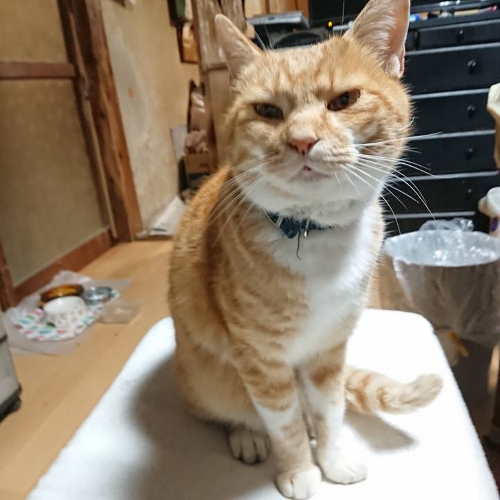 3453ca22 944a 413c 854f cfc159eaa3f5 1604260304312