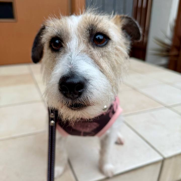 3453d6df 0d0b 4ec7 8e5c 0575a809ee94 1771074604478