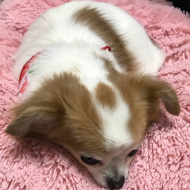 3453ef56 c8be 4969 9c9e 245abb048402 1543664282407