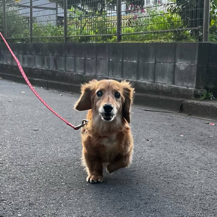 3453fc70 e282 4cca b493 c62fcc3b08e7 1655126316938