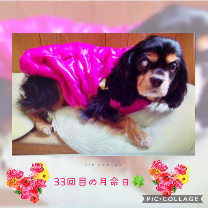 3454466c ee52 4f17 a4a7 57cc03946877 1548118739587