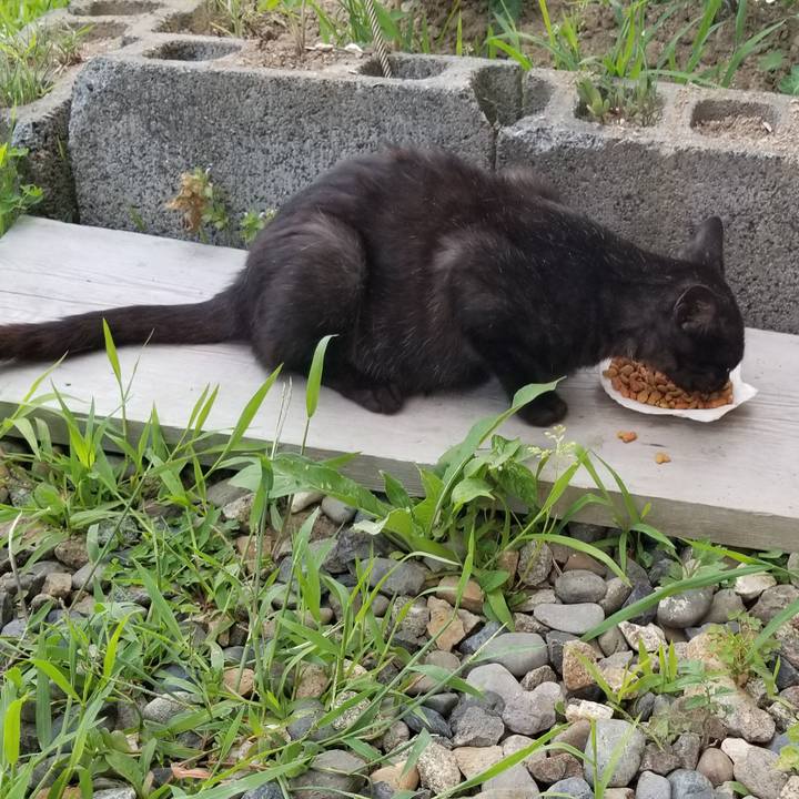 345466c7 221f 418a 9173 1c1179fe04dd 1564479061113