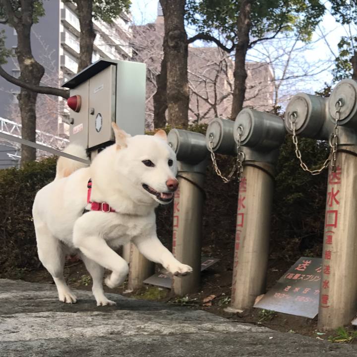 34548894 04d1 4c89 a5fe 23248ed60865 1519449967923