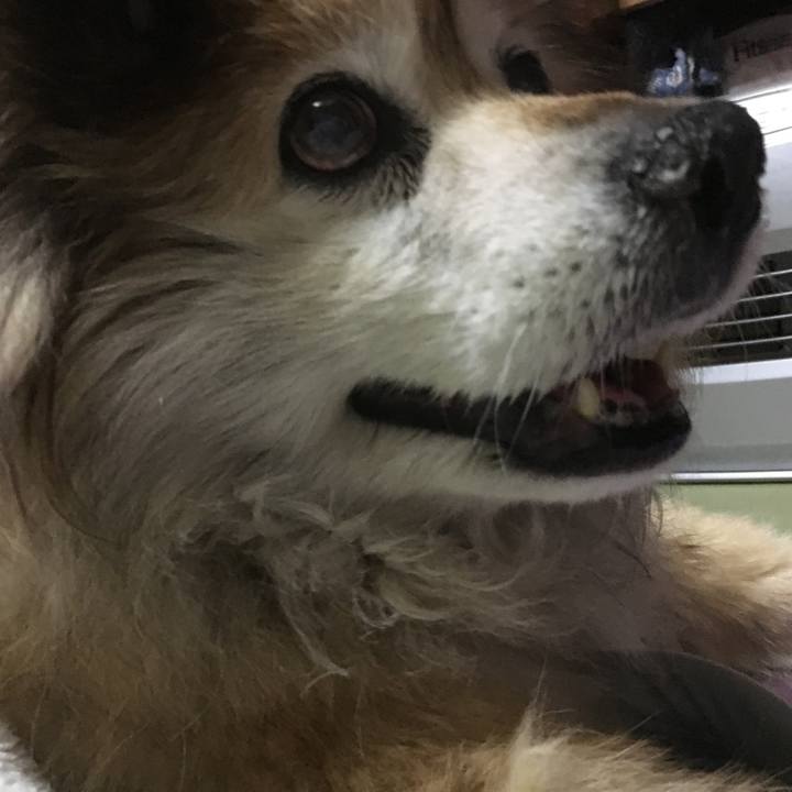 34548967 169f 4e96 94ee c401e2020d46 1602077390577