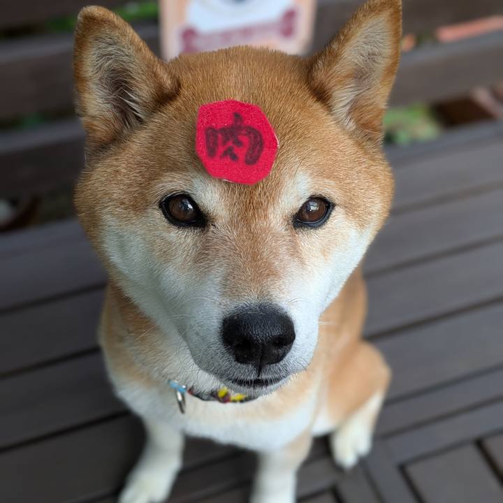 3454a128 02d0 4226 b2c3 c498f68001cd 1751207574786