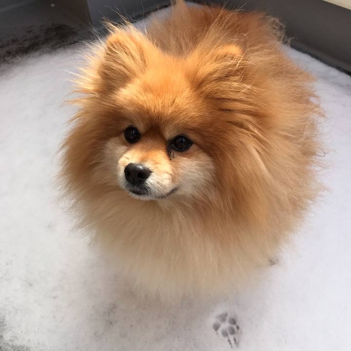 3454b600 b465 465b 814c 83ae24b5427d 1549765912446