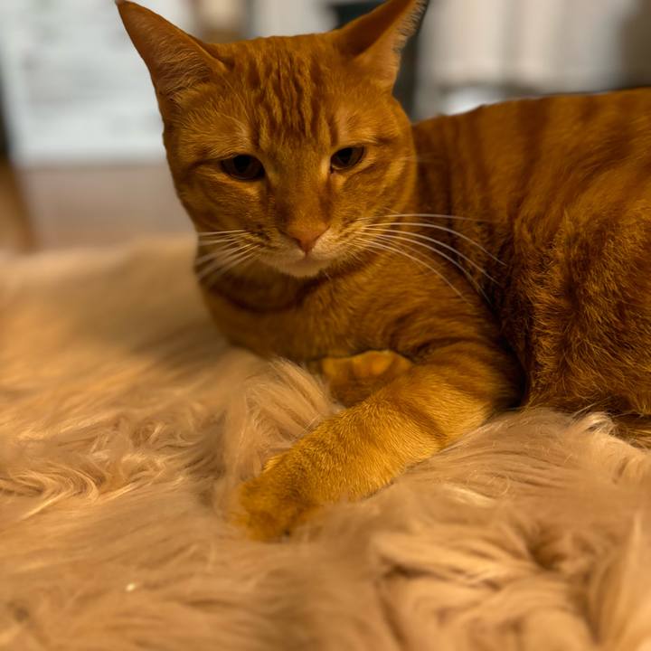 3454da3a 2485 4100 8c1d 72f2a0ef8272 1705409972507