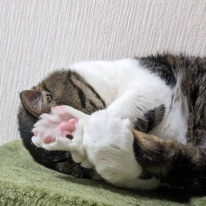 3454f82b 2fef 4b11 9a6a a0368f995136 1718607789547