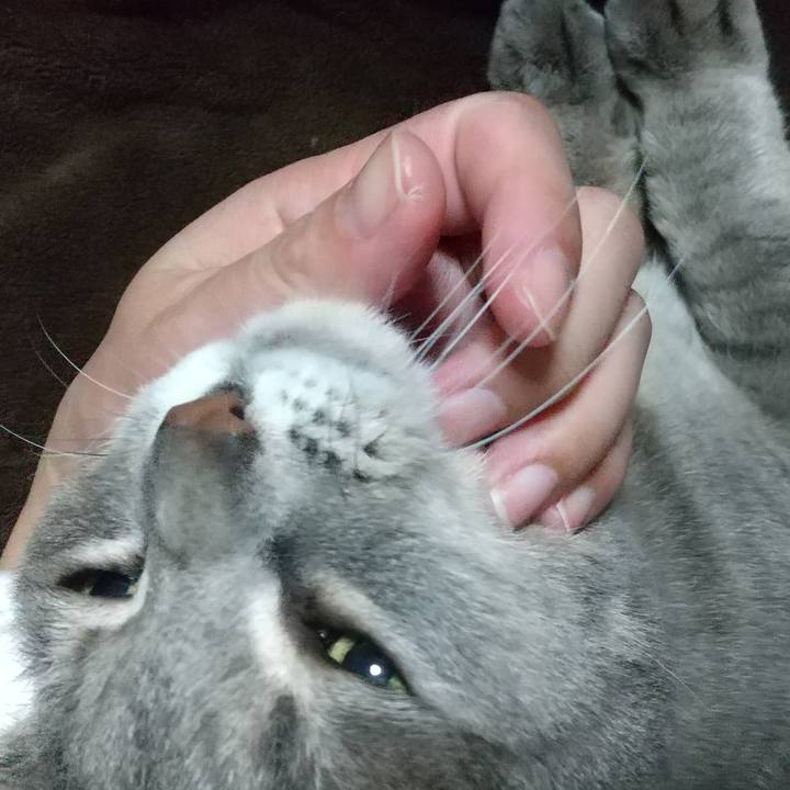 3455753f 11da 4fa0 8070 1ee8eea429a1 1639691246023