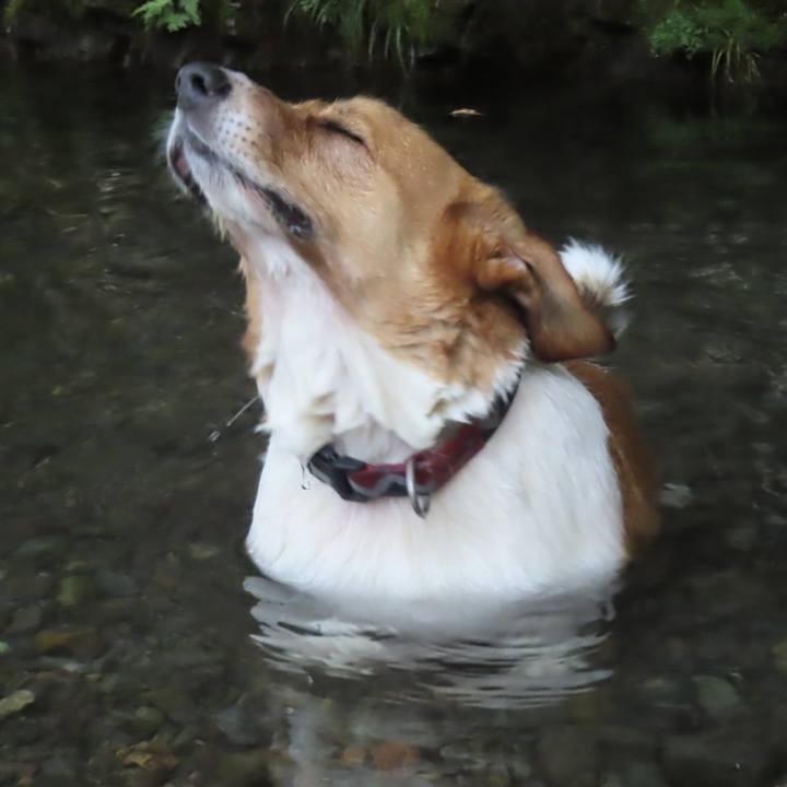 34558e70 6bbf 46f4 9e89 d01e67f91e30 1724117774306