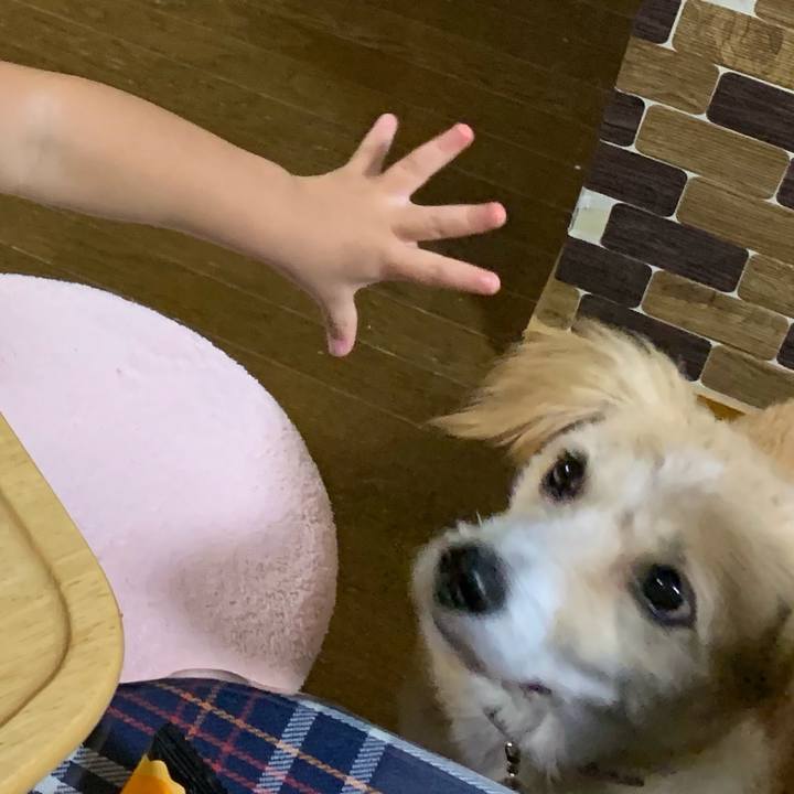 3455bbfa c62f 46ae a953 8a92bfc54762 1569312794758