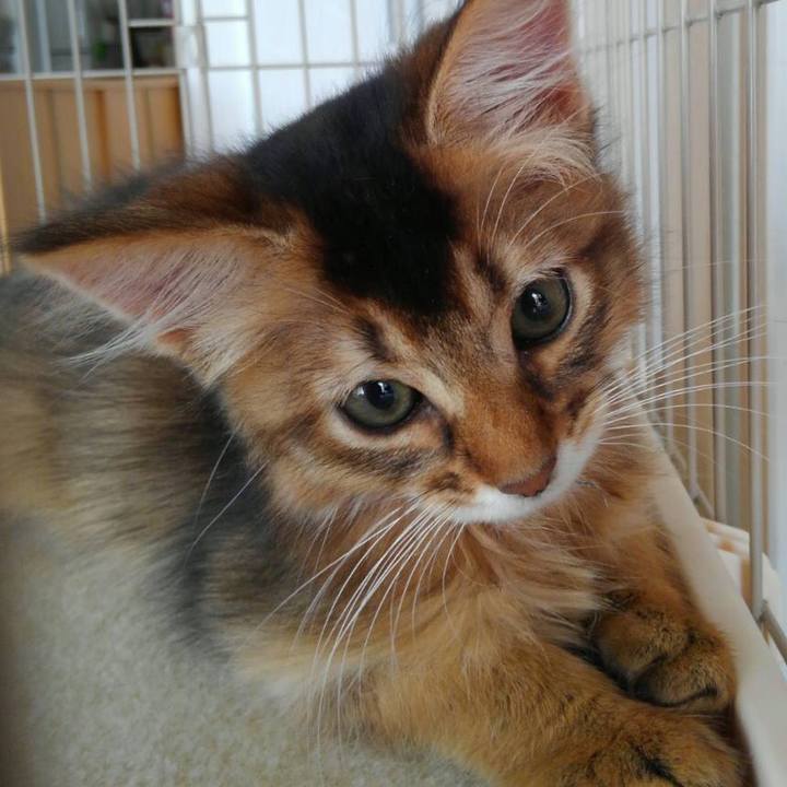 3455d2cf 7eca 4f78 abb6 32080970c7ea 1564289230791