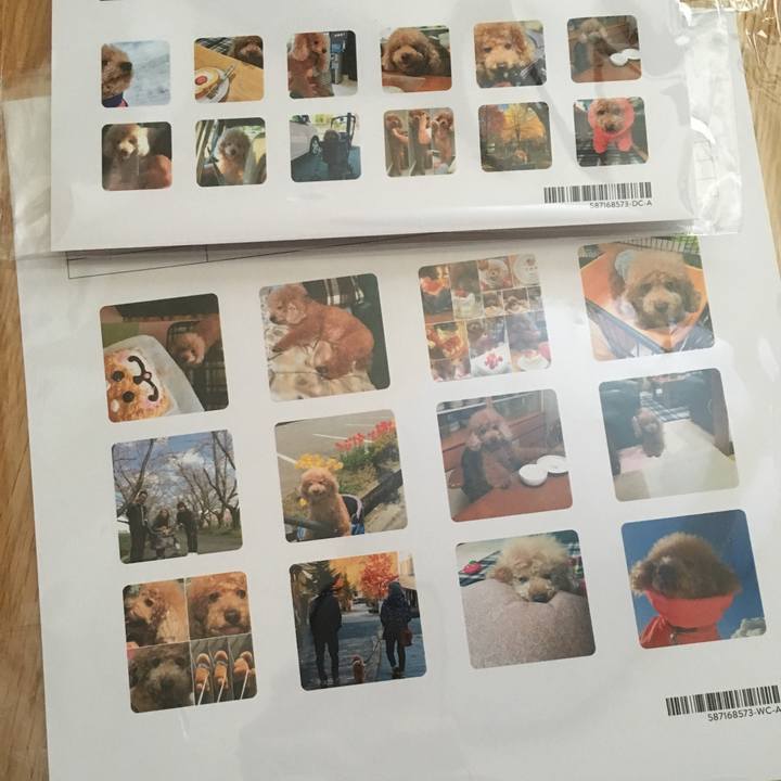 3455f0db fd16 456d 8710 7bb885542bc2 1546236618028