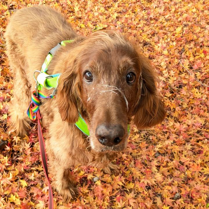 345609df 8ee1 40c9 a83a b9f4320dfb9a 1764233980926