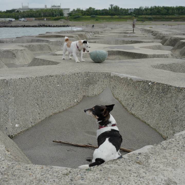 34562195 55ae 4029 b7bf c70f8711a0fd 1563075760785