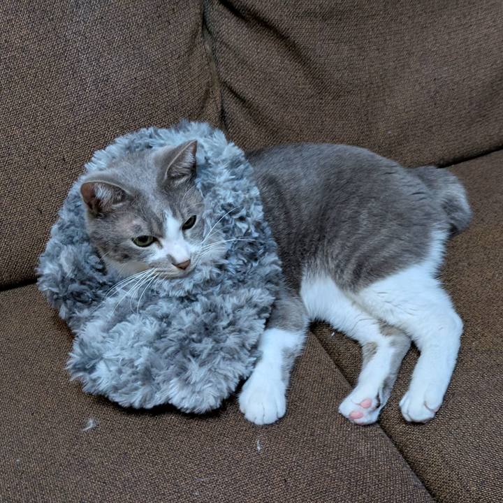 345637cd 66e2 41cf 8dd5 75681b4333b8 1731150597298