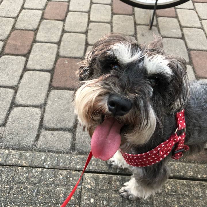 345638b3 e023 49c9 93cf 6e422ba27fbf 1559743306801