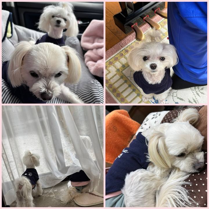 34564190 0f9b 4fbd a202 c3e285fb229e 1739785178958