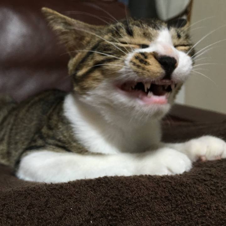 345649b2 4dcc 4211 96da 93bcd51d0898 1511783606968