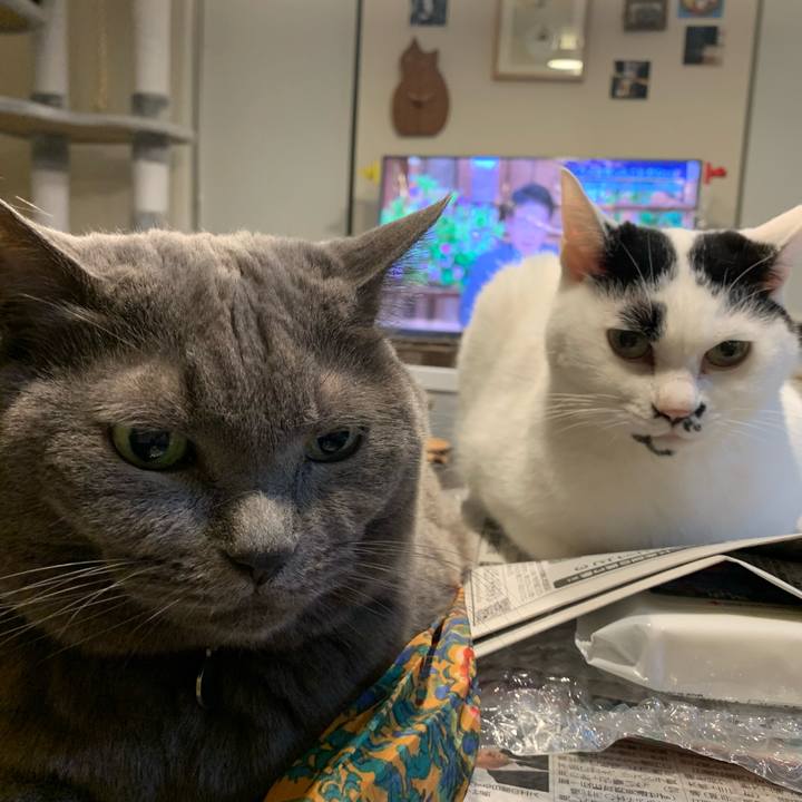 34564e9d 0385 4474 b6c8 16e0837ee84d 1748131705664