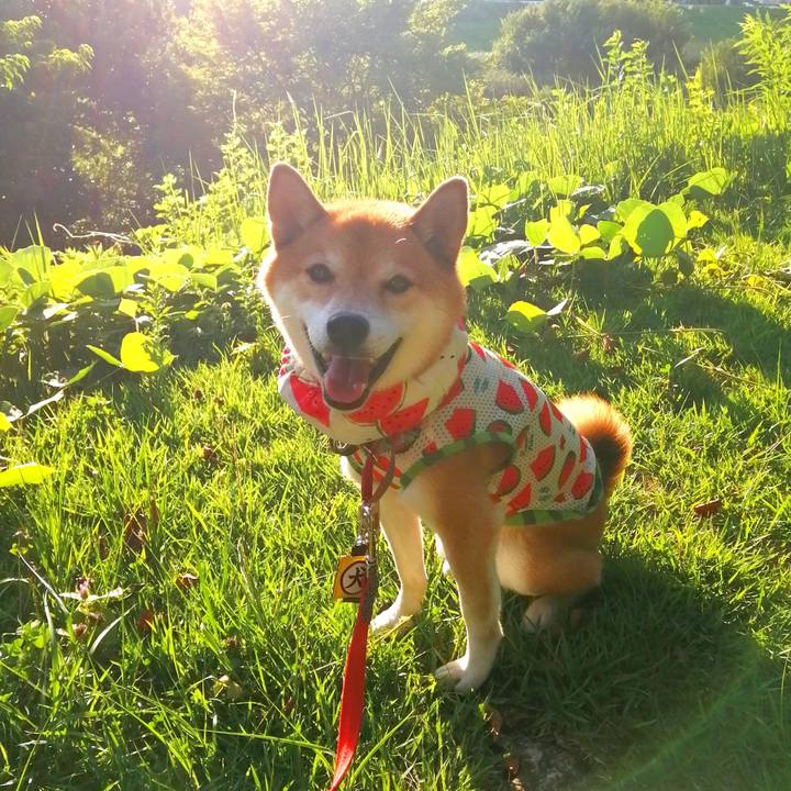 3456582a 34f9 408d a55a 7cf5a2dfb240 1693039734422