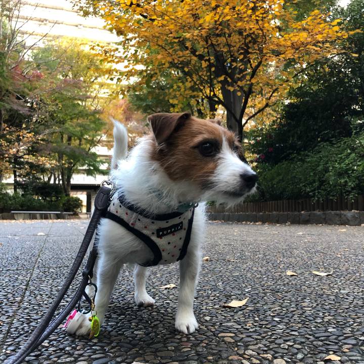 3456b2fa 42bb 49fa b201 2581e59399cb 1543012085409