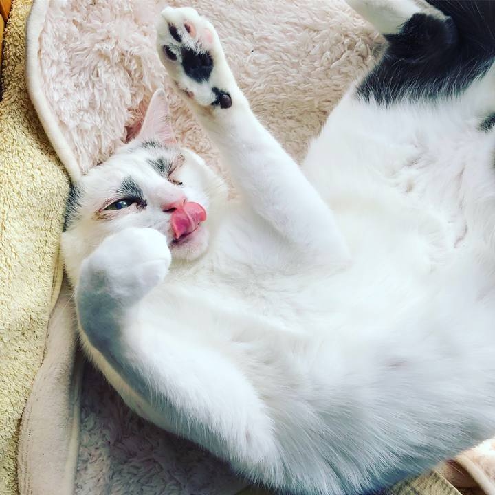 3456bda7 ee03 4011 9a6c a387ce893769 1519041346068