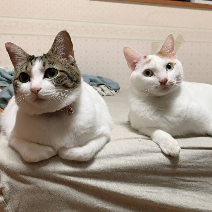 3456c06d f9db 4523 bd93 783ebcdad1ca 1627817595571