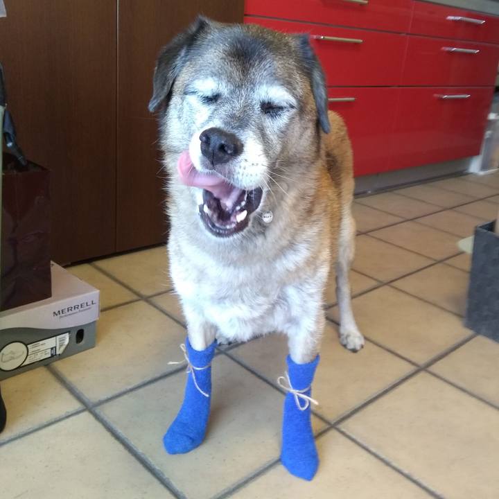 3456cc59 3e5d 4b2c a96c 8b8932b31674 1566189113729