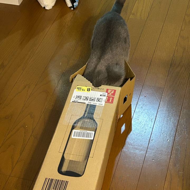 3456ebcc 00bf 46bf bca3 2ff3dc559a71 1707138105611