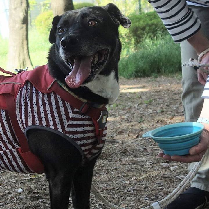 34571232 9bc6 42f2 b510 3a129c2d6fb3 1683246972095