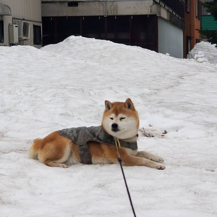 34571fd0 41a1 4fd8 94c1 be7d5ce988d3 1648524497683