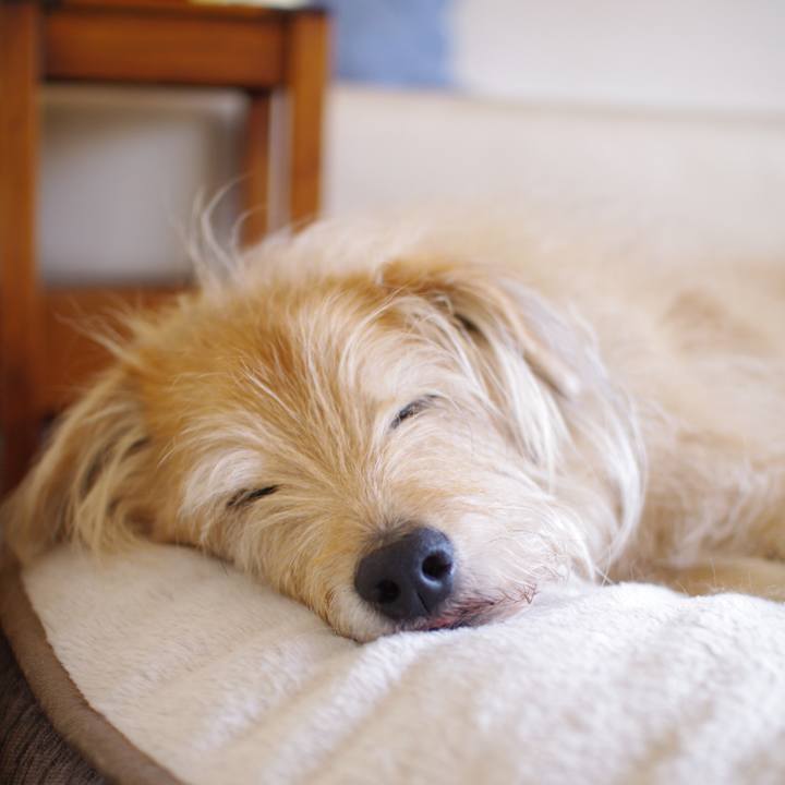 3457573b d220 49d2 8aeb da99c1f65734 1586442352426