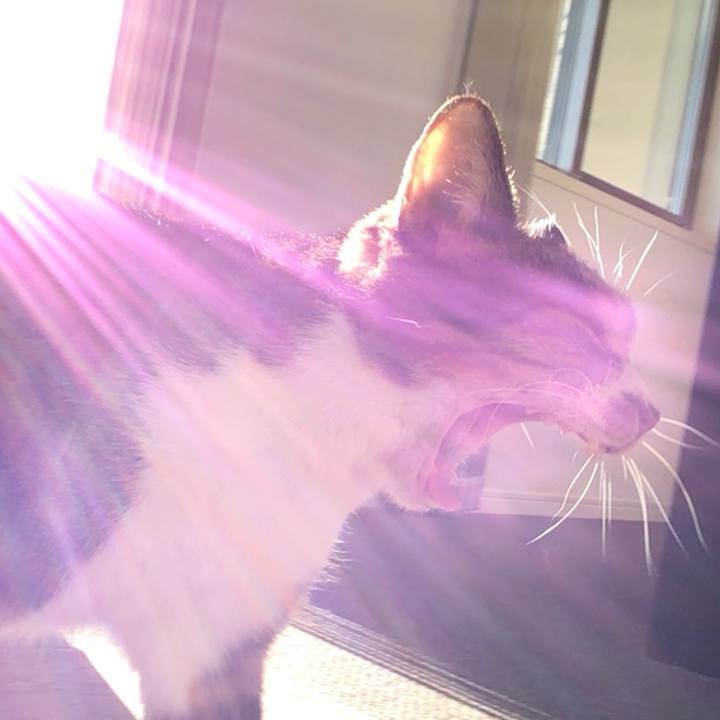 34575c9b c017 41f9 b735 586229017937 1605375626500